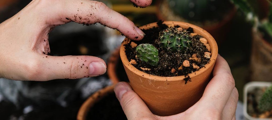 How to Make Money From a Hobby Online in 2019