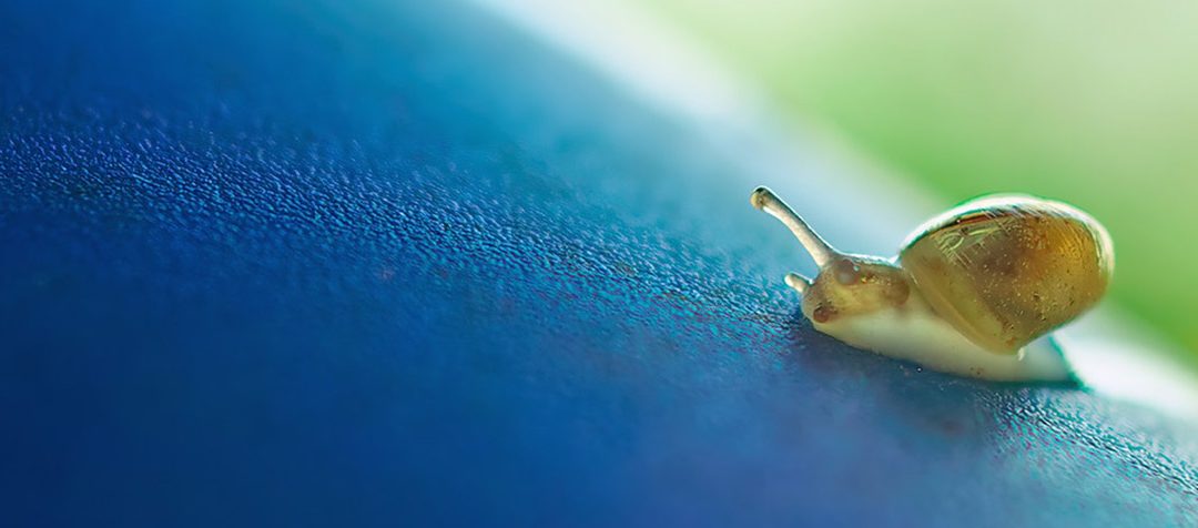 Promote Your Business in a Slow Period? Yes!