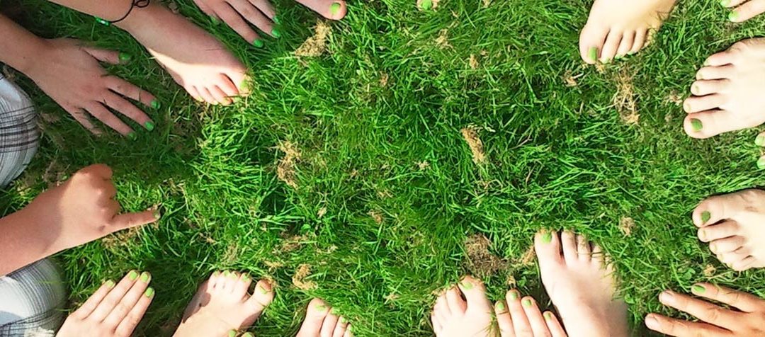 What to Include in Your Zero Waste Blog?